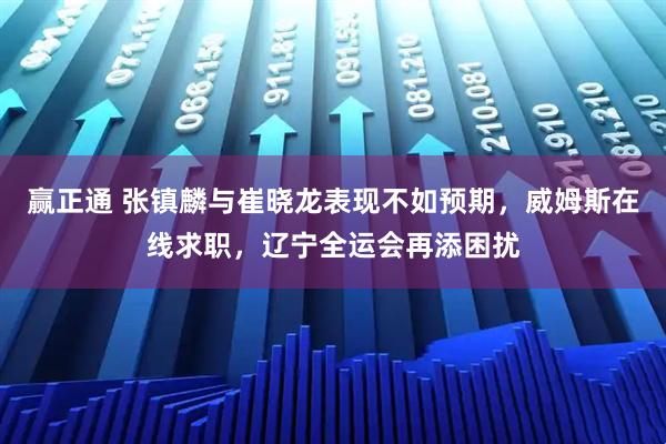 赢正通 张镇麟与崔晓龙表现不如预期，威姆斯在线求职，辽宁全运会再添困扰